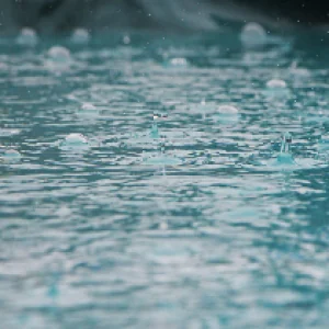 TOPIX：2020年02月16日(日)の投稿「試合中止の判断について」