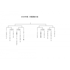 【新日本スポーツ連盟 大阪府野球協議会】 大会結果「大阪選抜大会」